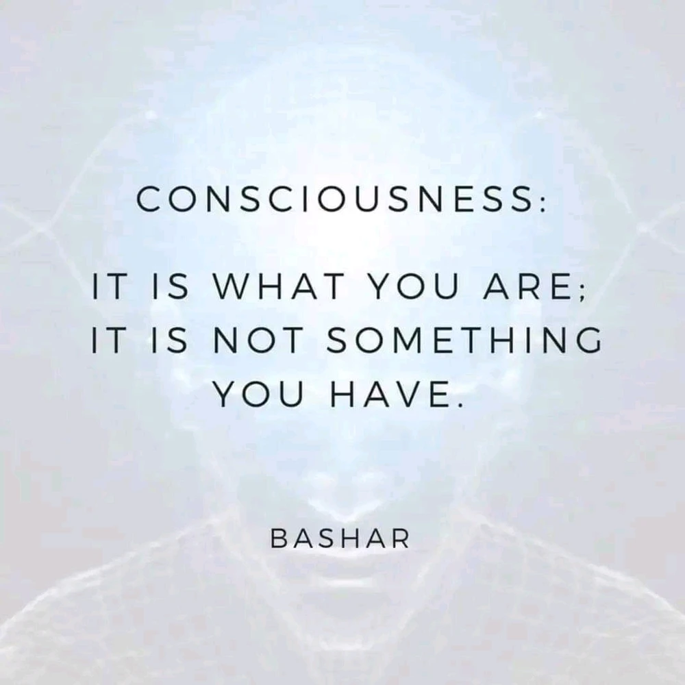 Image uploaded by Su Purrschaman