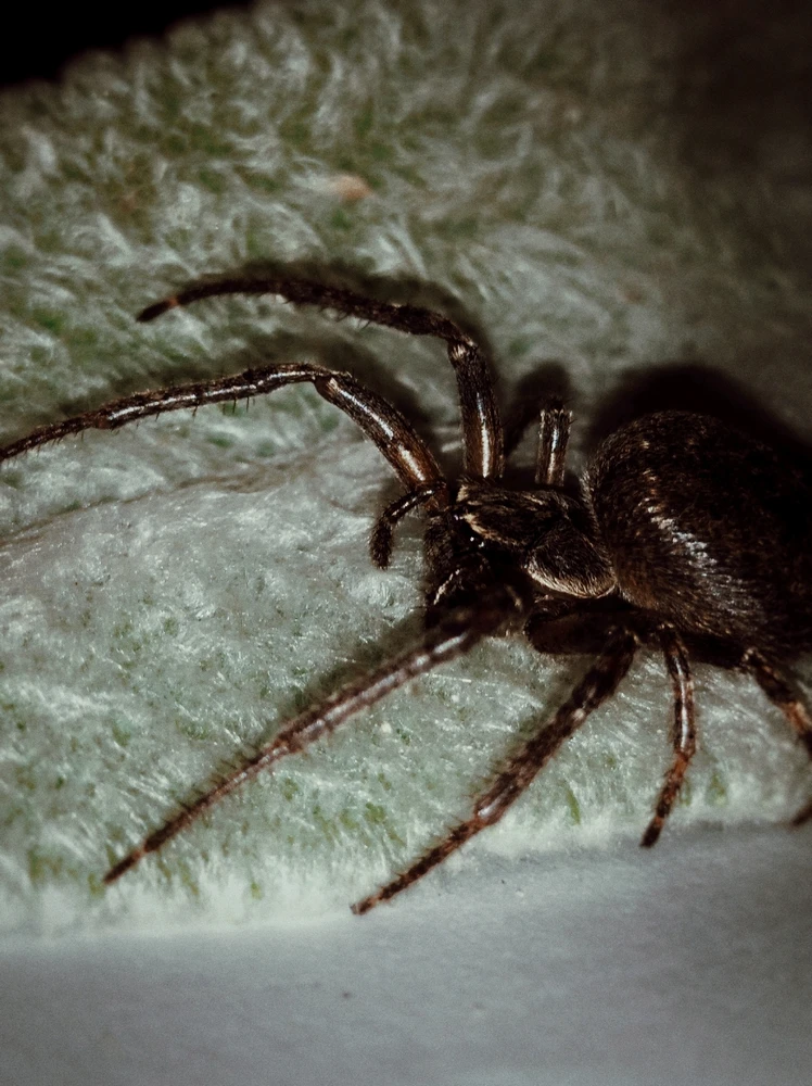 GIF uploaded by Erika