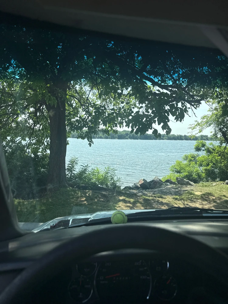 GIF uploaded by Nate