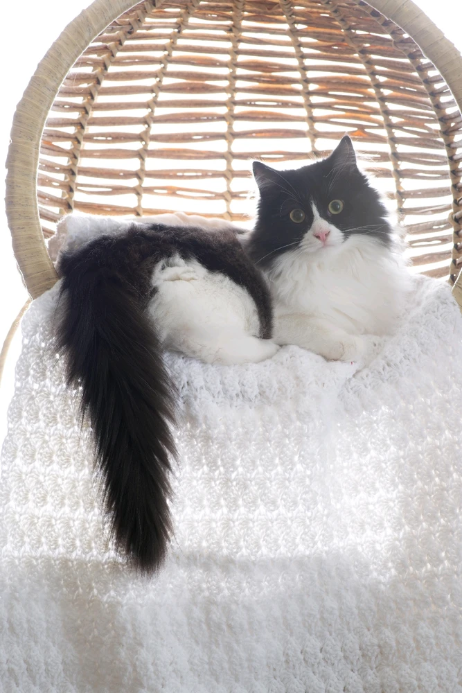 GIF uploaded by Collin