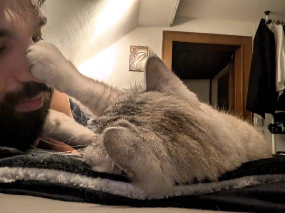 GIF hochgeladen von Rafael