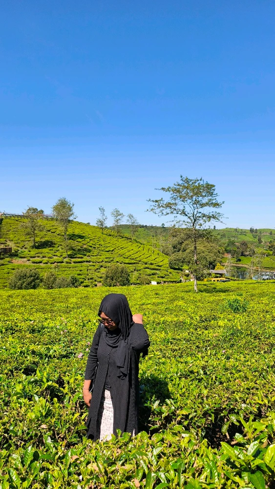 GIF diunggah oleh Riska
