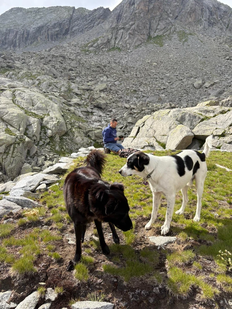 Immagine caricata da Paul