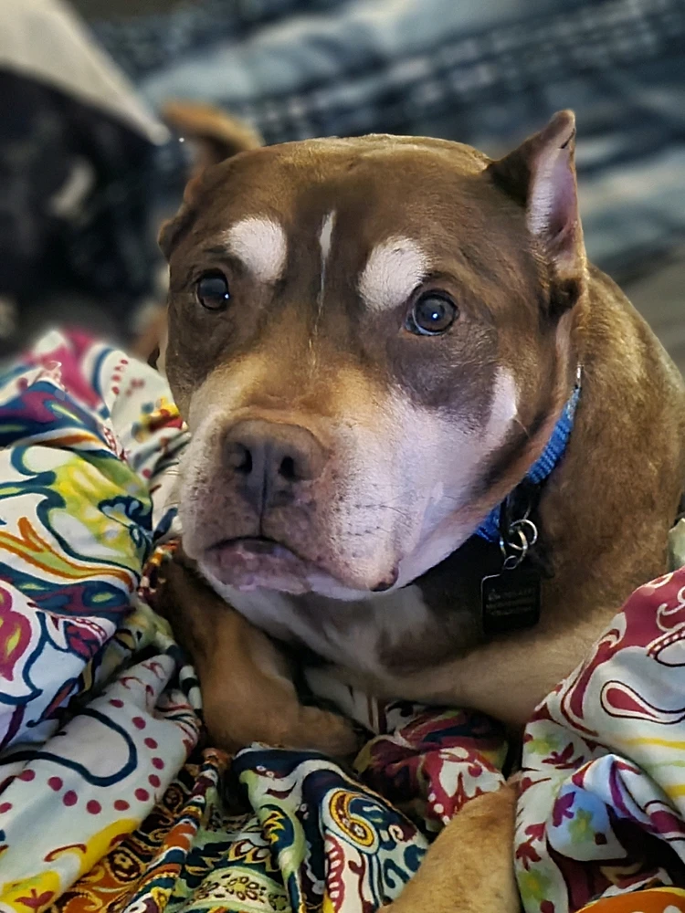 Image uploaded by Shannon