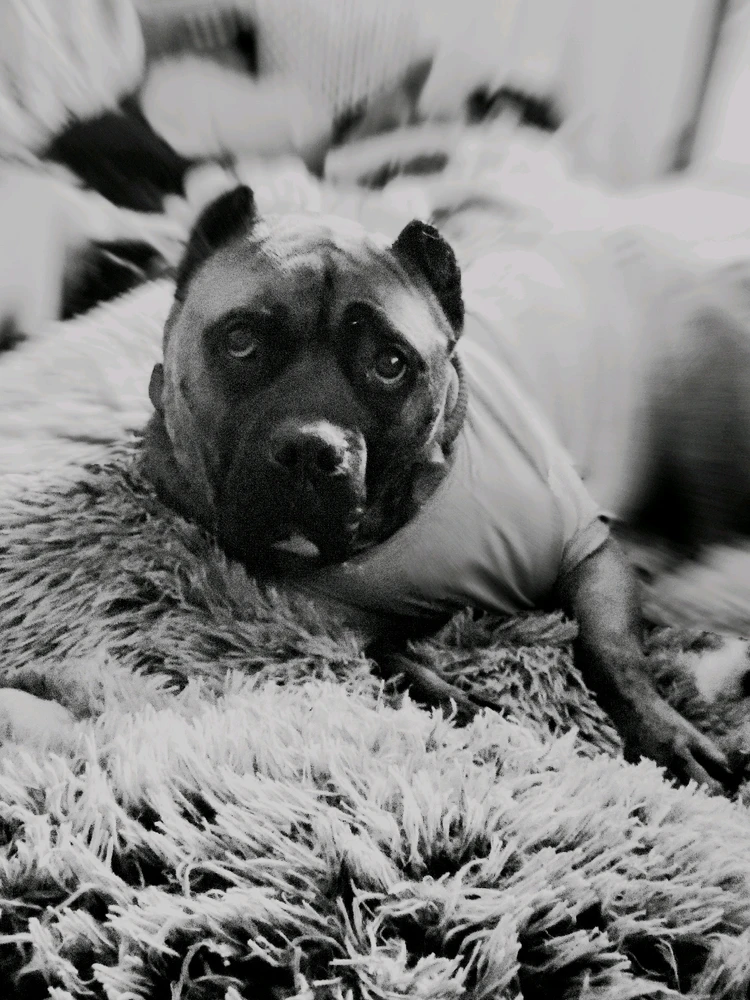 Image uploaded by Shannon