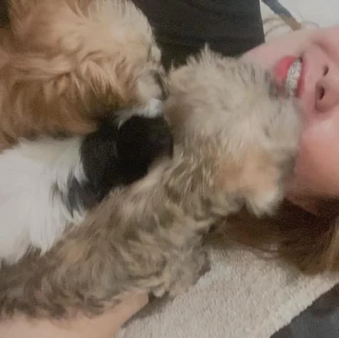 Image uploaded by Kate