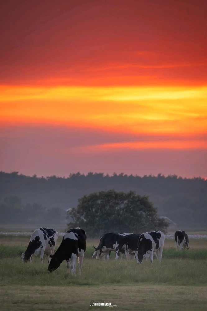 GIF uploaded by Liza