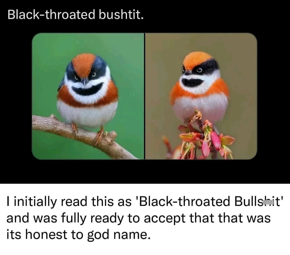 GIF uploaded by Brandon