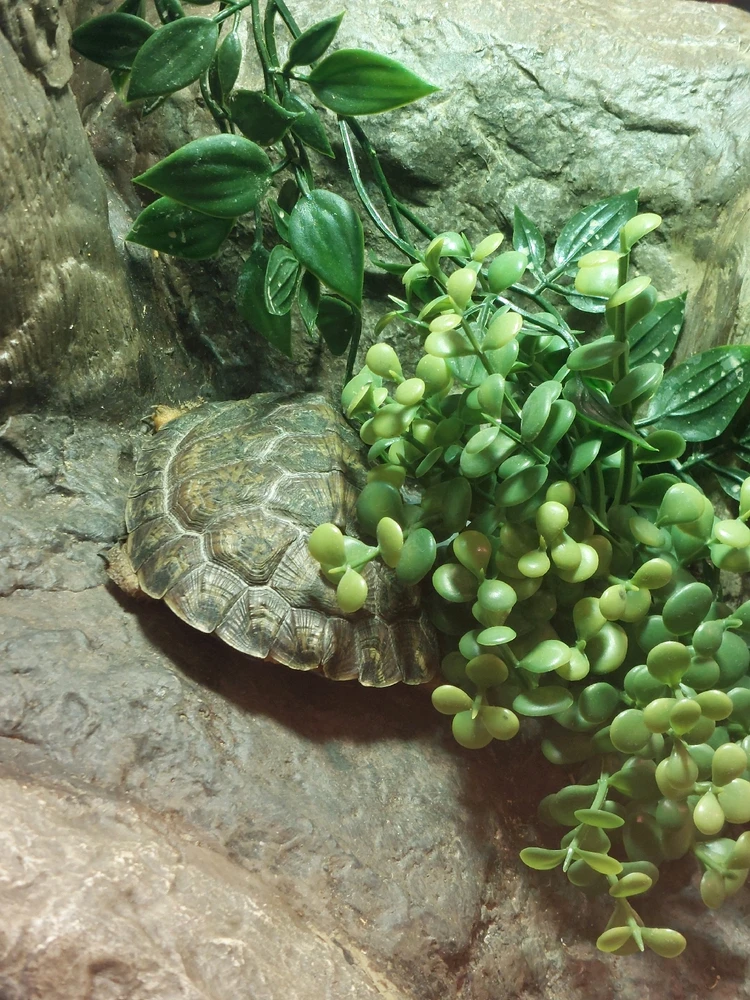 GIF uploaded by Jonathan