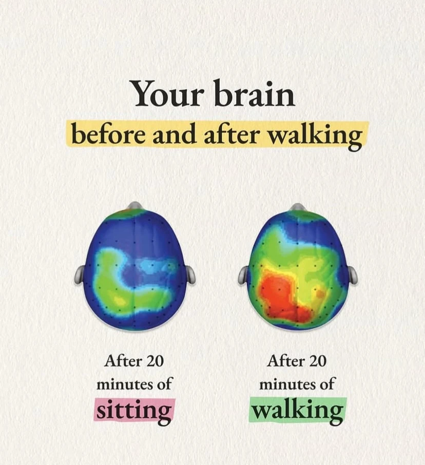 Image uploaded by Kan*^•^*