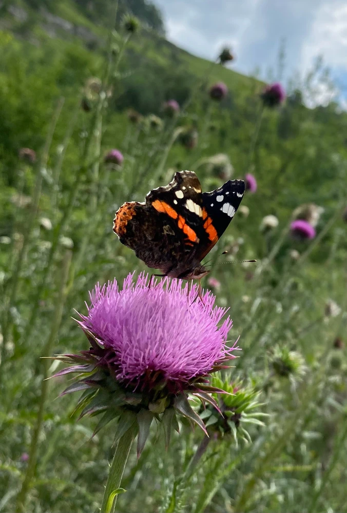 Спасались от жары прогулкой по ущелью вдоль реки
