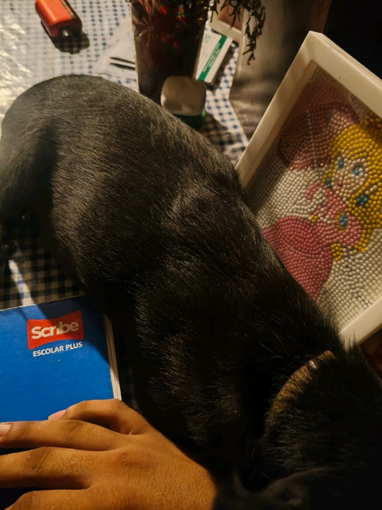 GIF subido por Tristan