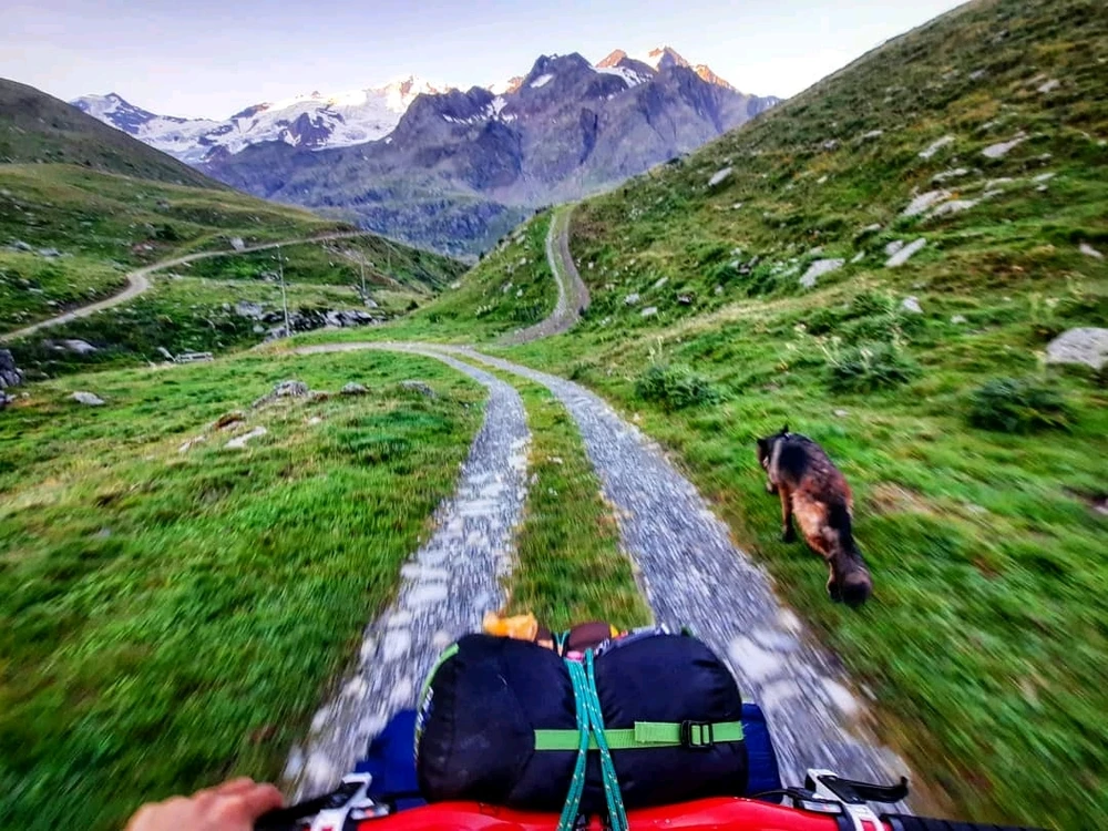 Immagine caricata da Matteo