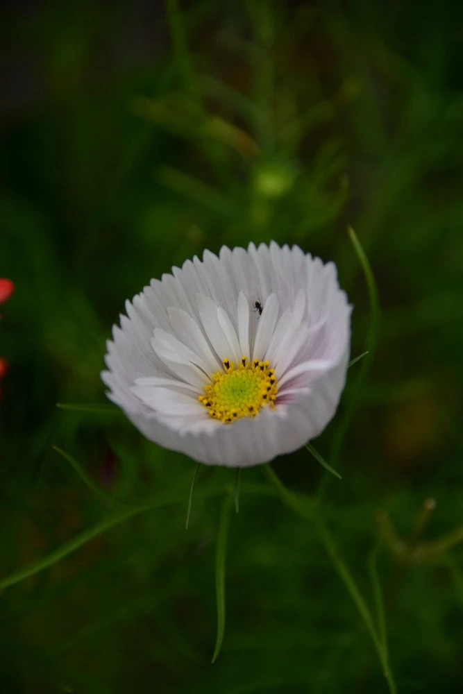 Image uploaded by Sylvia