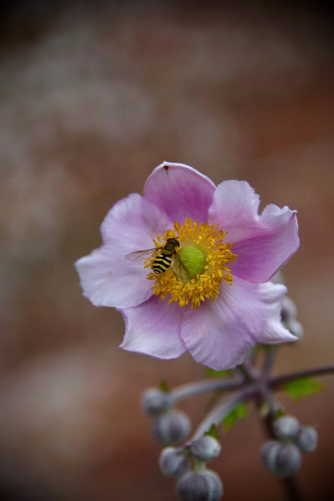 Image uploaded by Sylvia