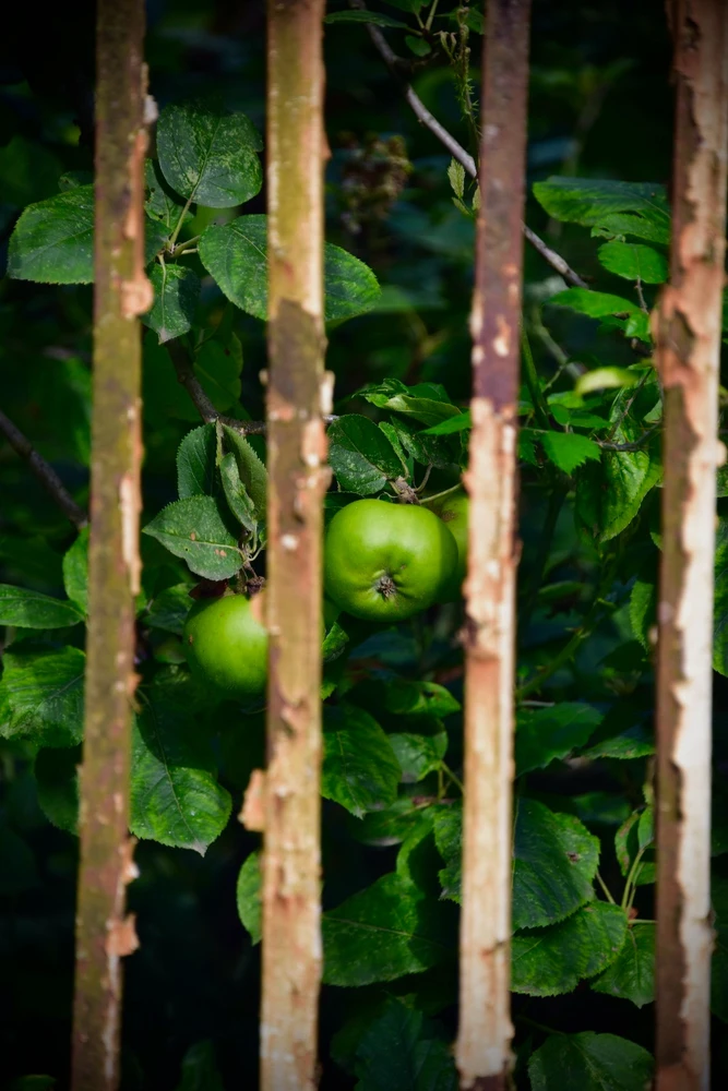 Image uploaded by Sylvia