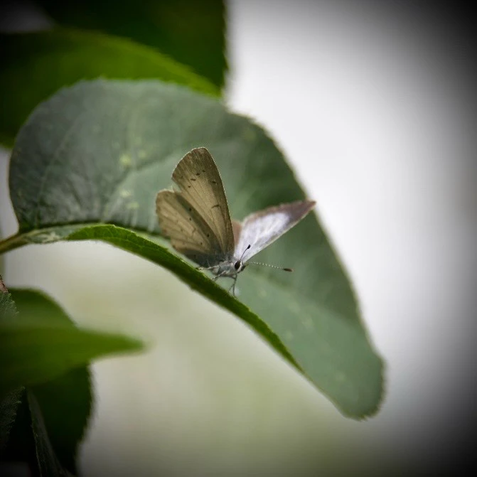 Image uploaded by Sylvia