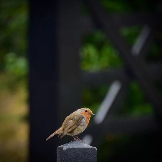 Image uploaded by Sylvia