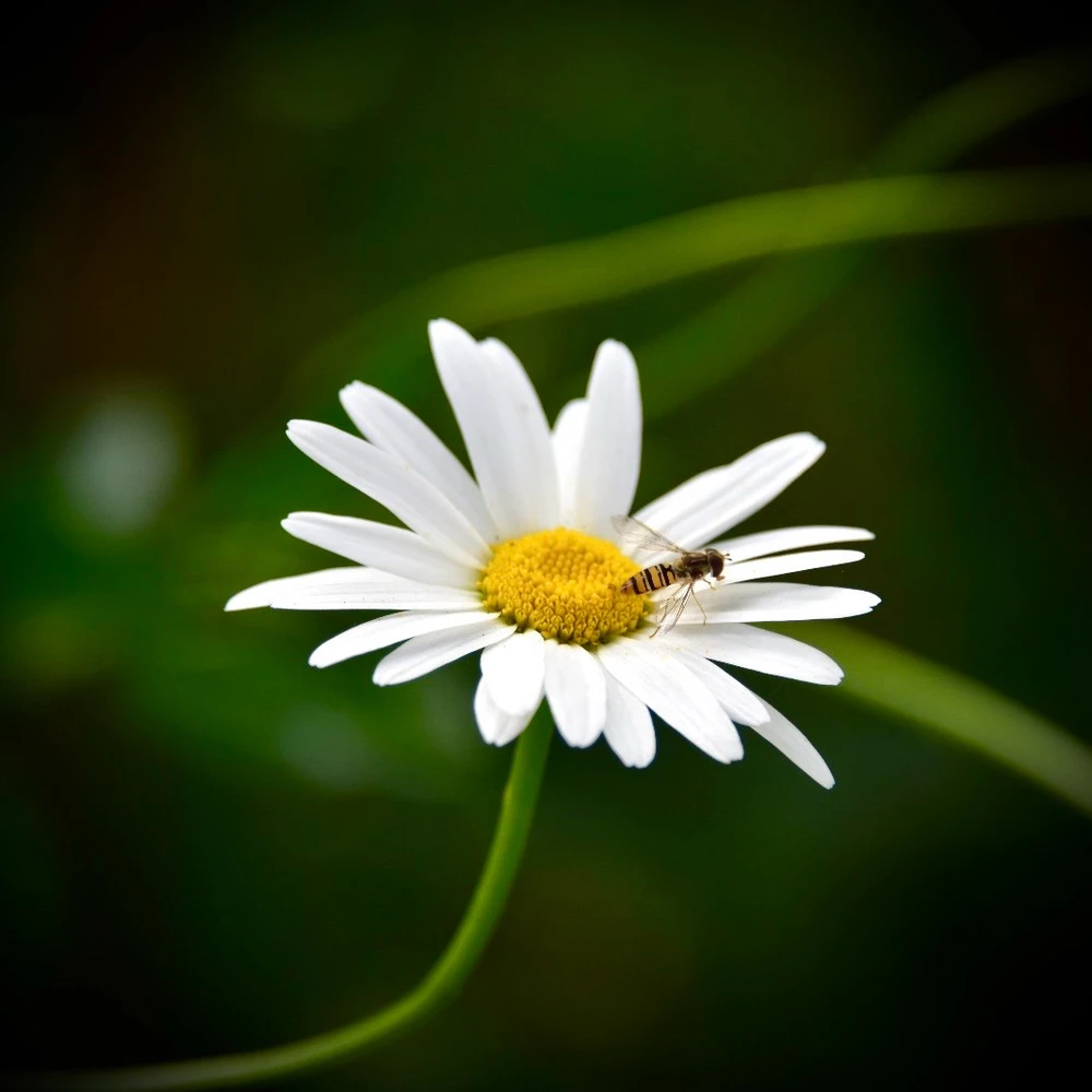 Image uploaded by Sylvia