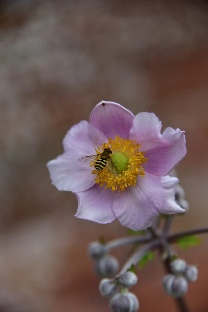 Image uploaded by Sylvia