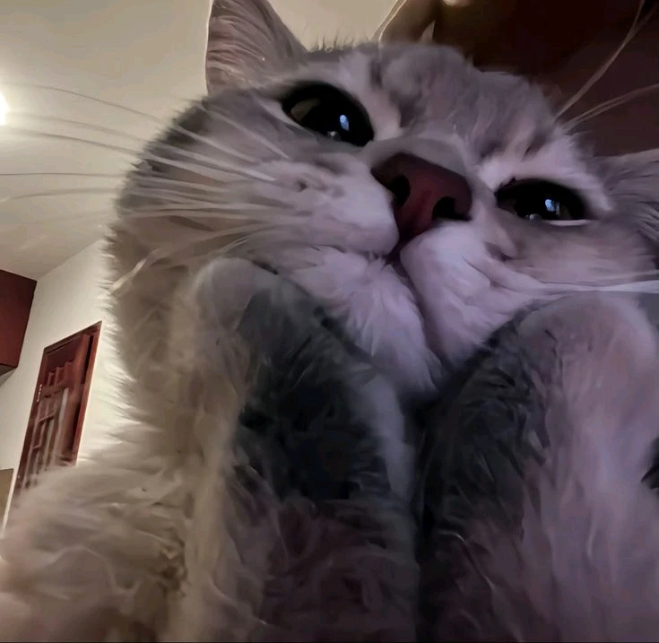 GIF uploaded by qrystal