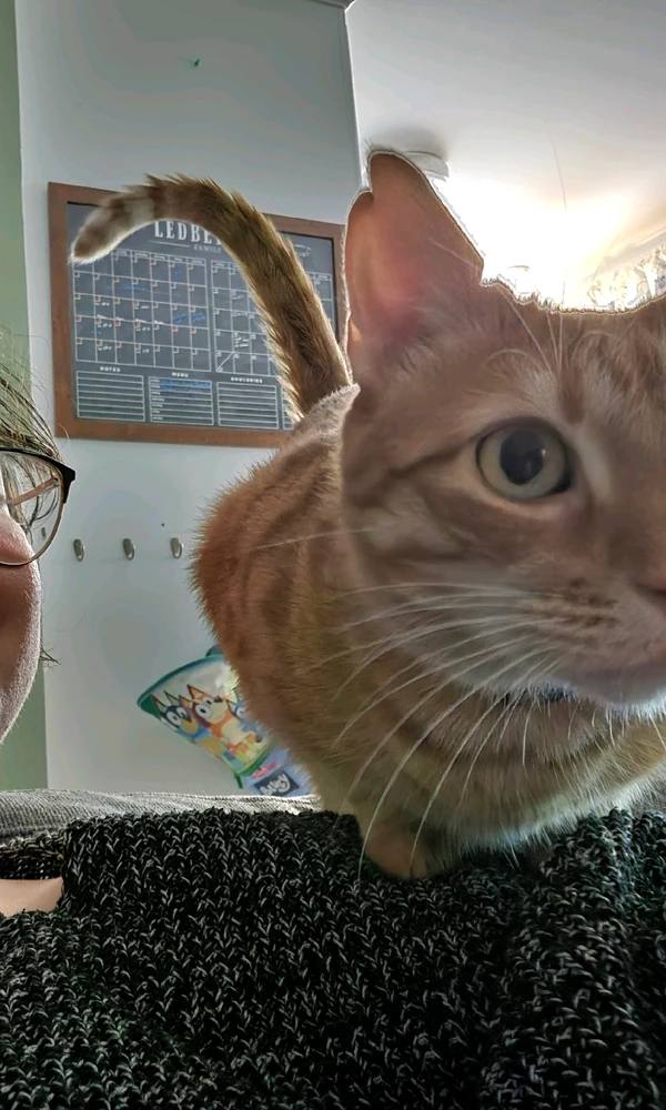 GIF uploaded by Rebecca