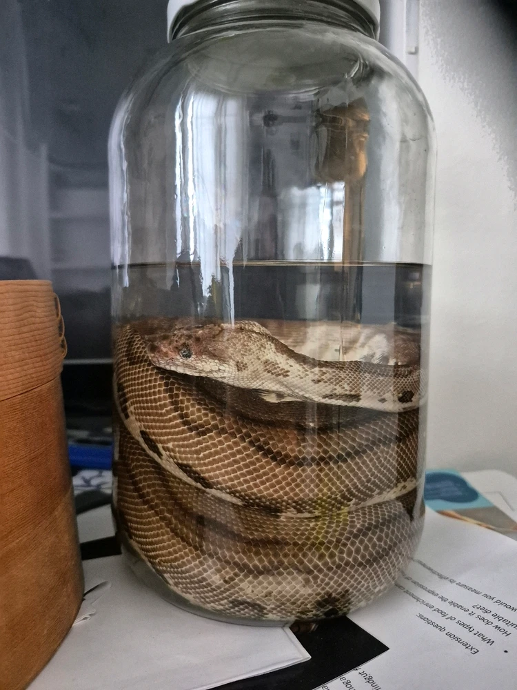 GIF uploaded by Demi