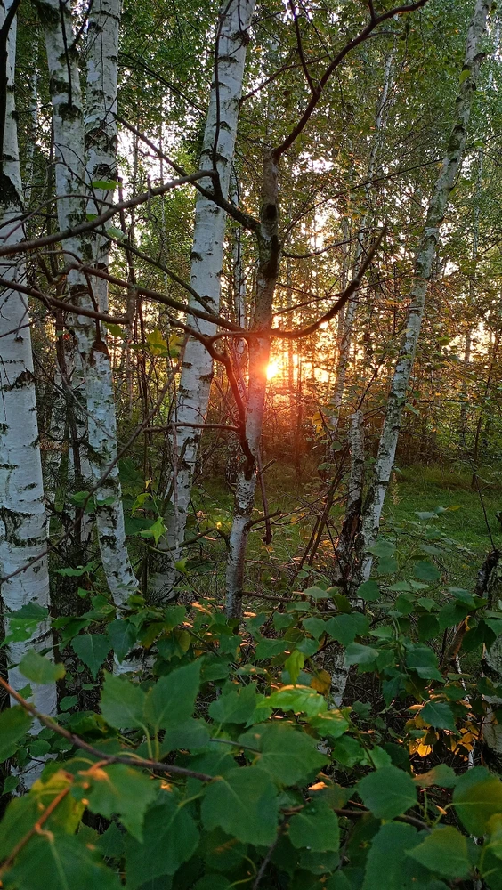 Фото загрузил Александра