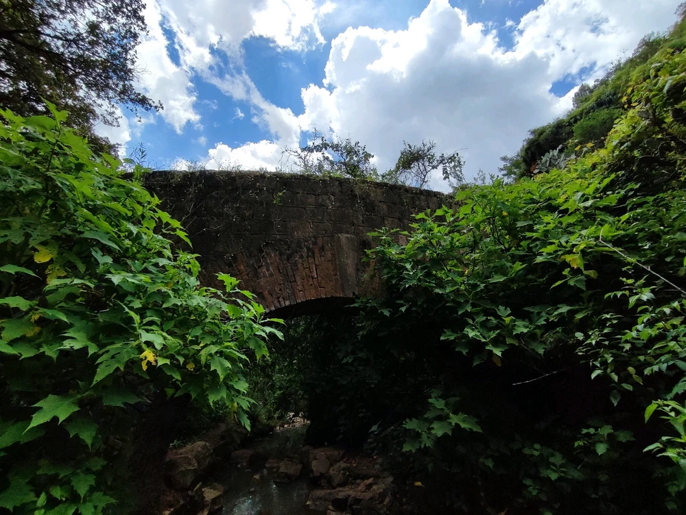 Uno de los sitios que visite en el paseo de ayer ✨