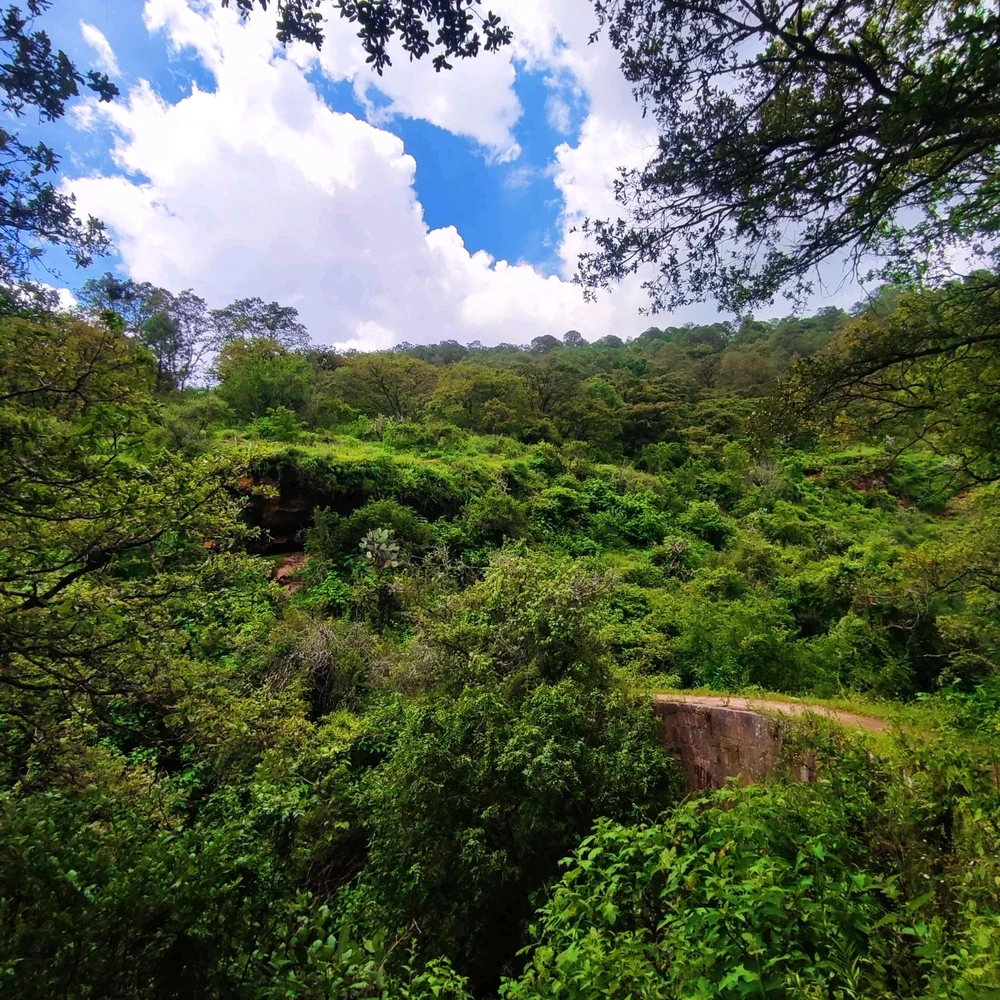Uno de los sitios que visite en el paseo de ayer ✨