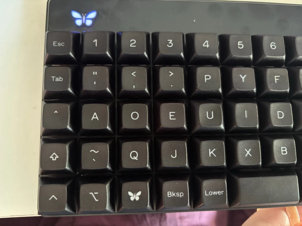 Image uploaded by Iris