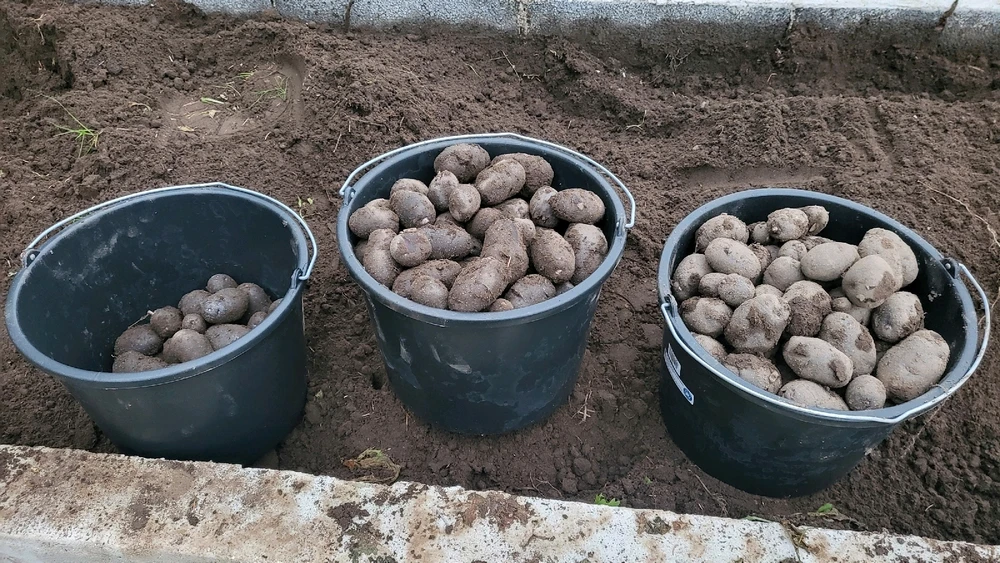 Billede uploadet af Lex