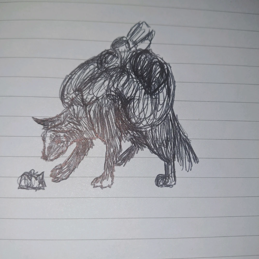 GIF hochgeladen von Sarah