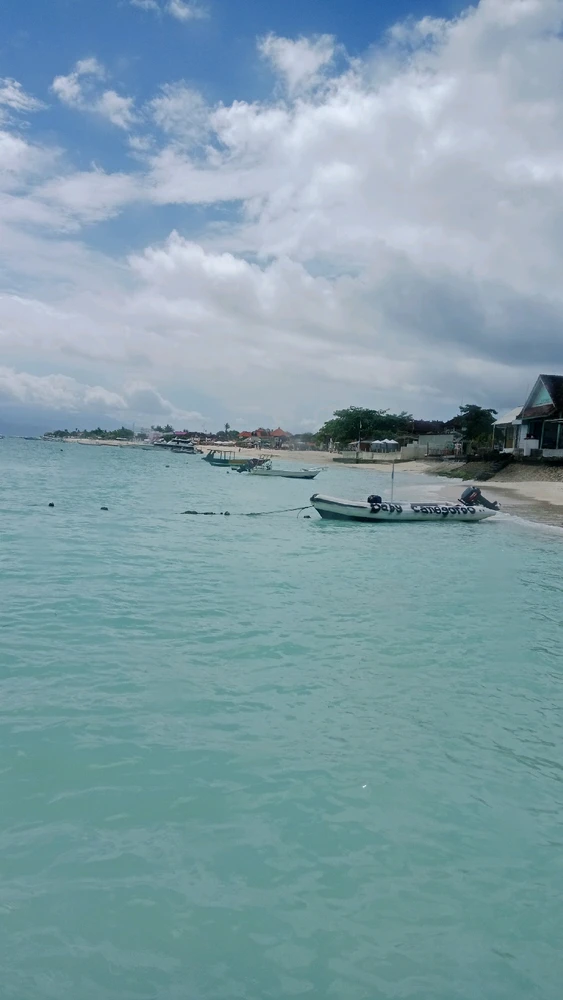 GIF diunggah oleh Rachma