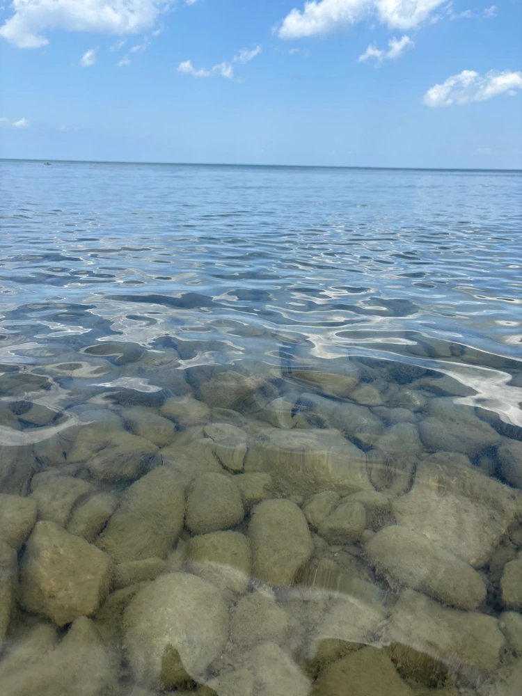 GIF uploaded by Meg