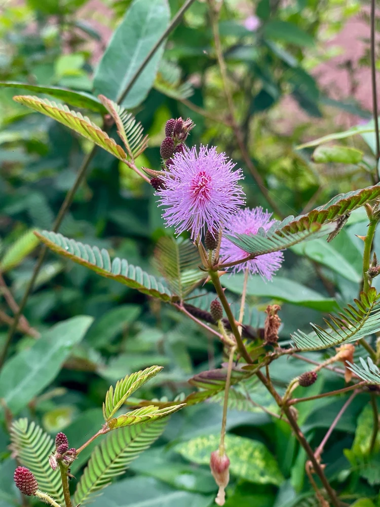 Sajay അപ്ലോഡ് ചെയ്ത GIF