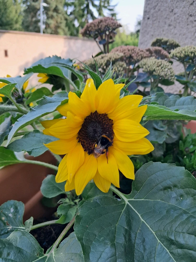 Image uploaded by Val