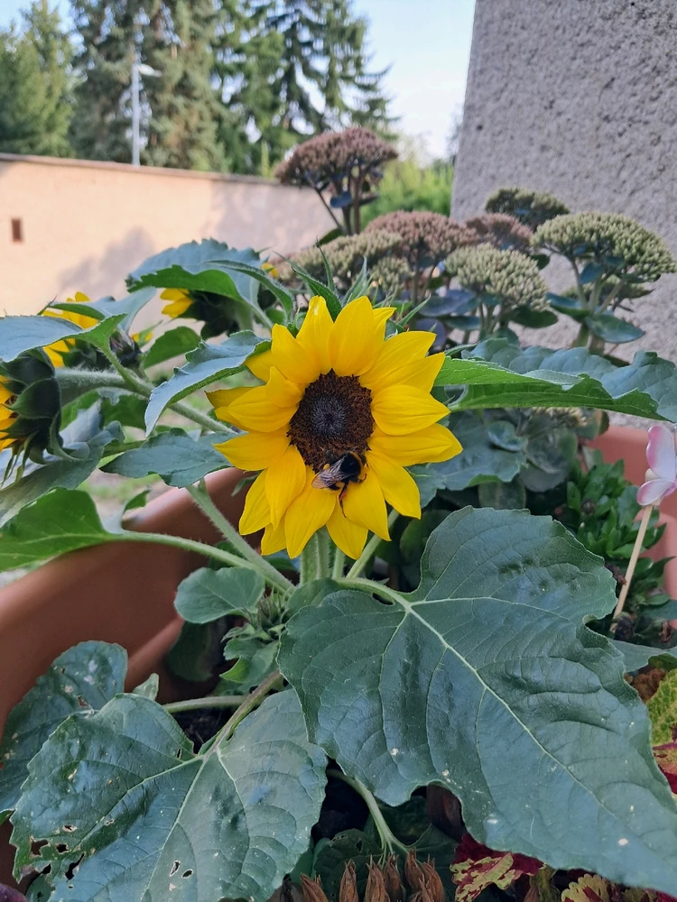 Image uploaded by Val