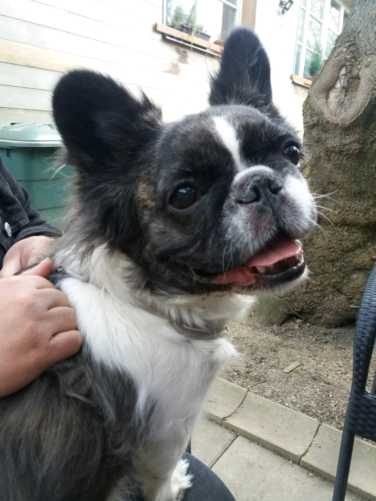 Image uploaded by Val