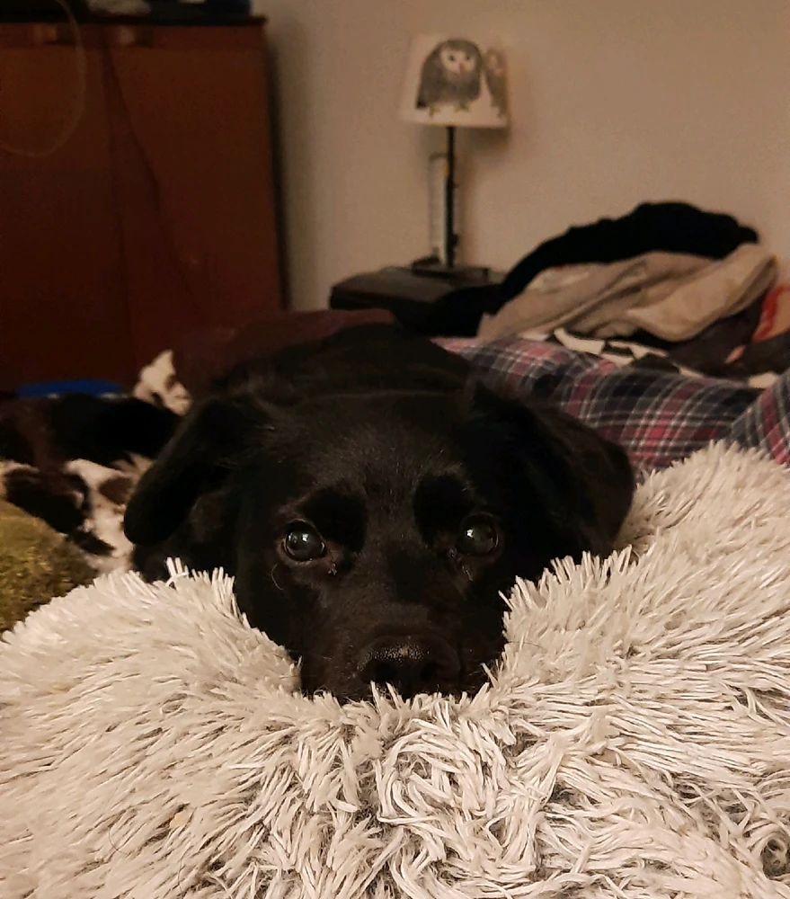 Image uploaded by Val