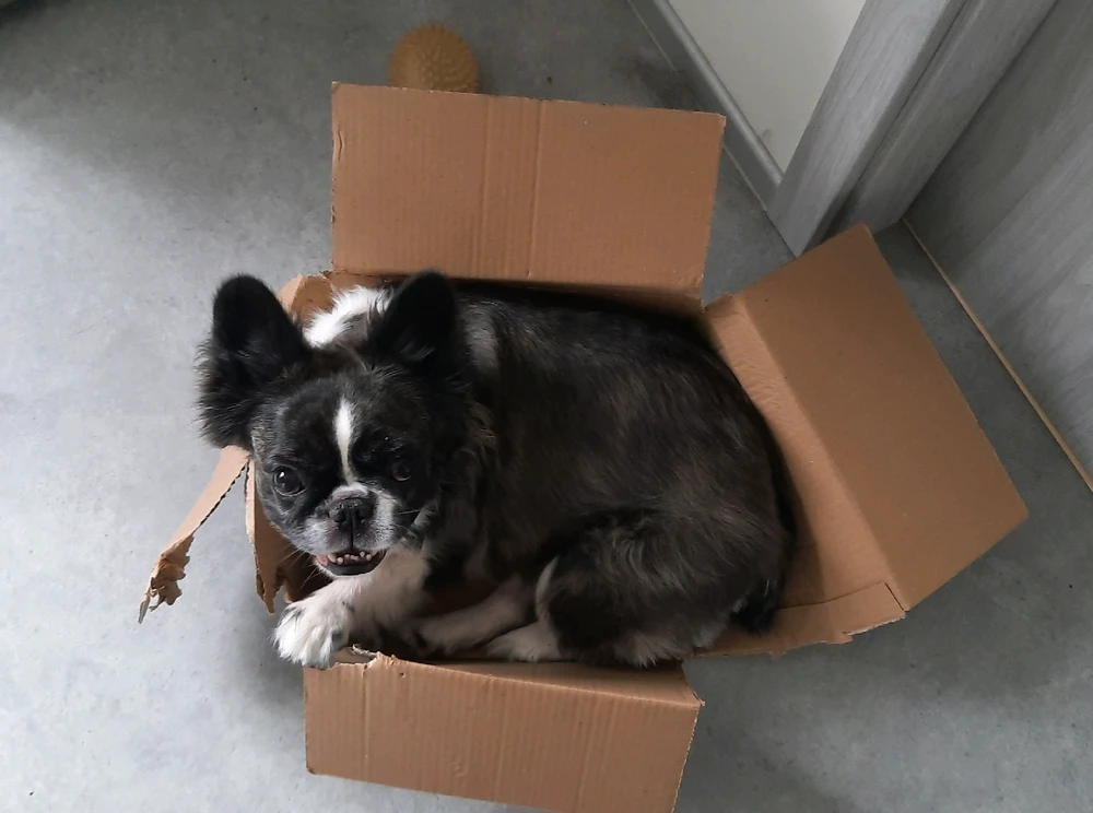 Image uploaded by Val