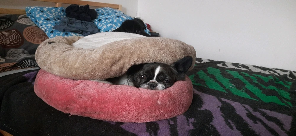 Image uploaded by Val