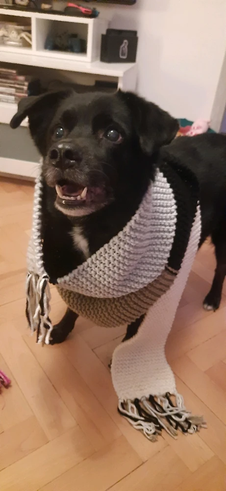 Image uploaded by Val