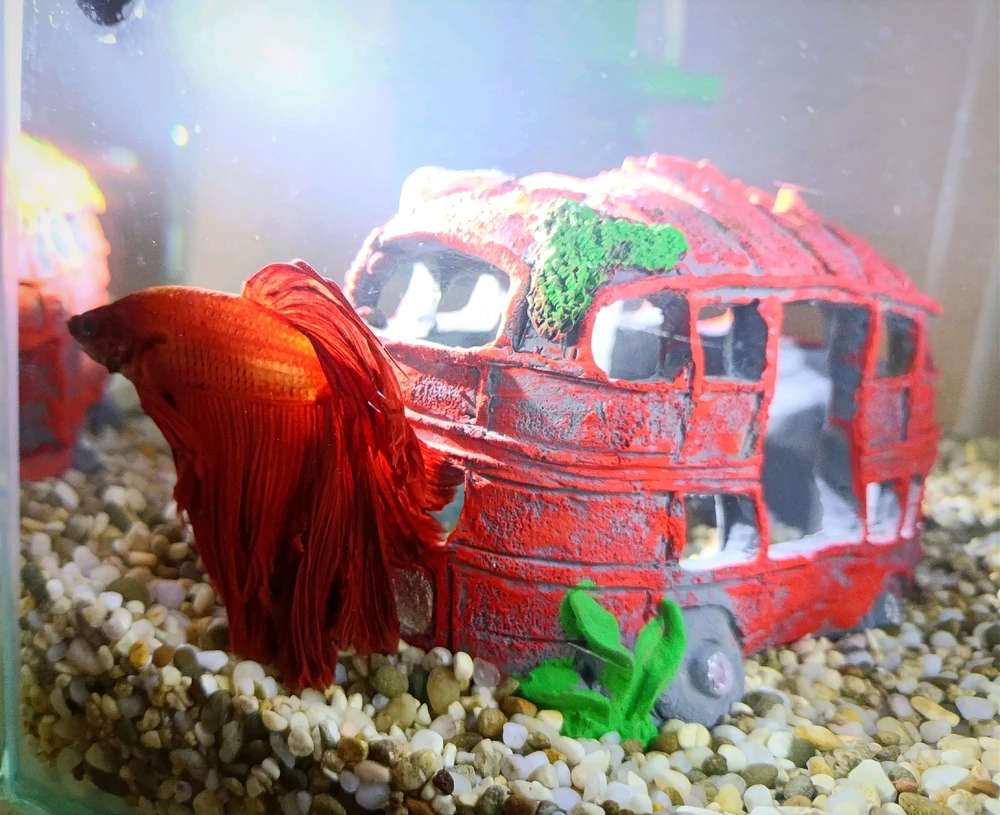 GIF загрузил Надежда