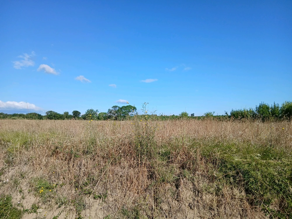 Image ajoutée par Rick