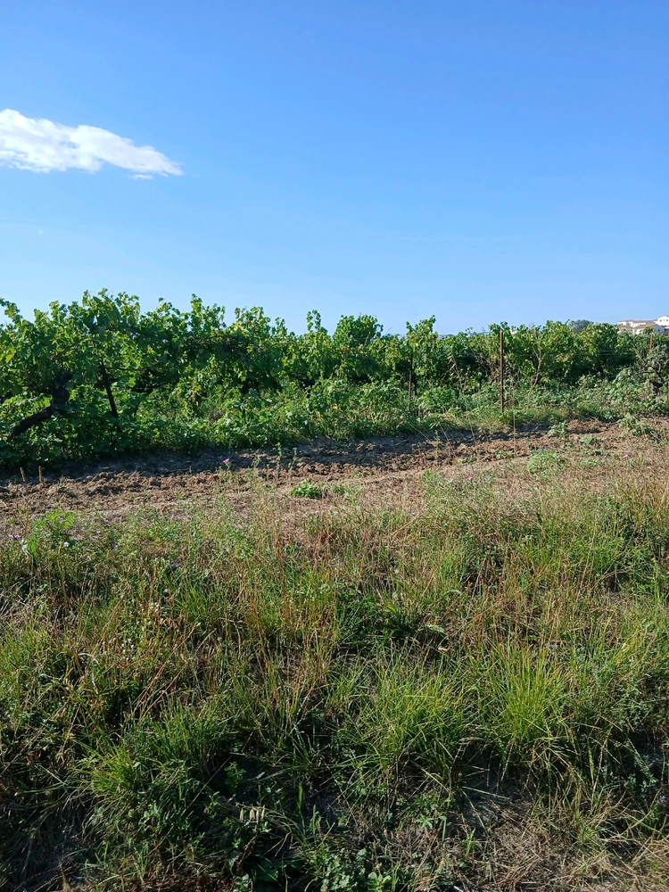 Image ajoutée par Rick