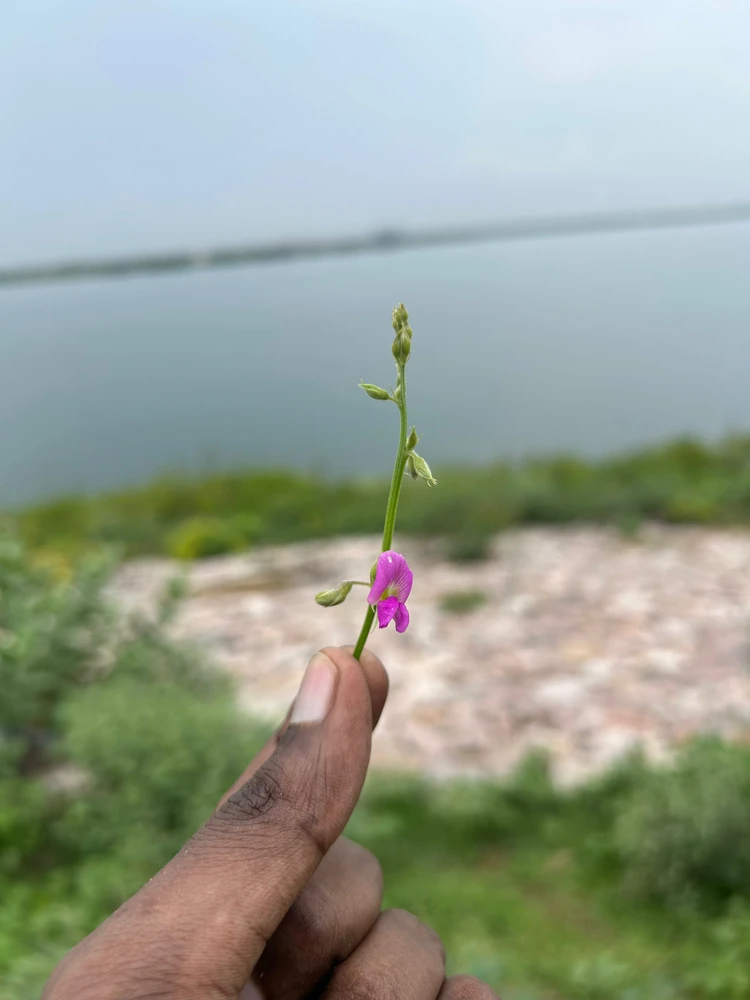 GIF na in-upload ni Abhimanyu