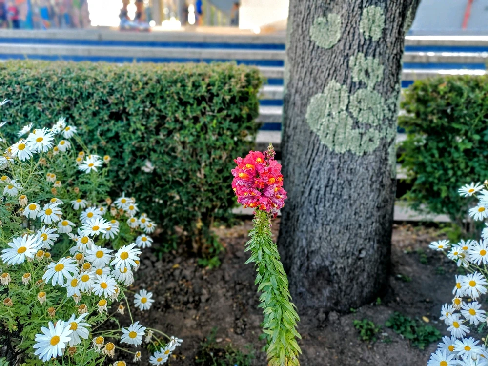 Image uploaded by Catalina