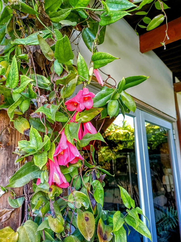 Image uploaded by Catalina