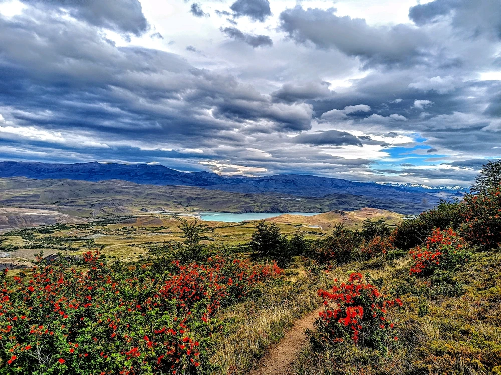 Image uploaded by Catalina